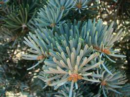 Garden World - The Portland Area's Best Garden Center